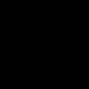 Meet your Posher, Justine